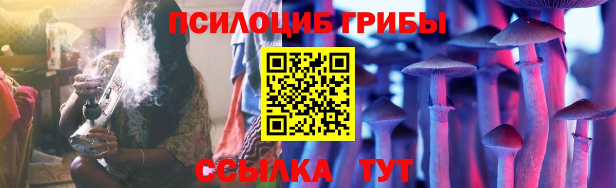 Чита  Галлюциногенные грибы ЛСД  Вход с VPN 